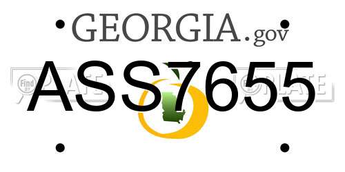 ASS7655 Georgia License Plate