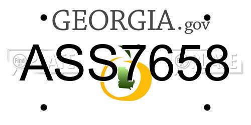 ASS7658 Georgia License Plate