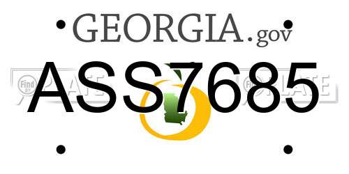 ASS7685 Georgia License Plate
