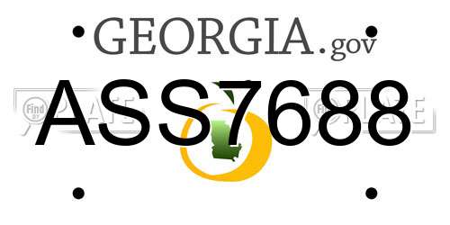 ASS7688 Georgia License Plate