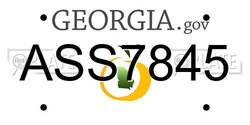 ASS7845 Georgia License Plate