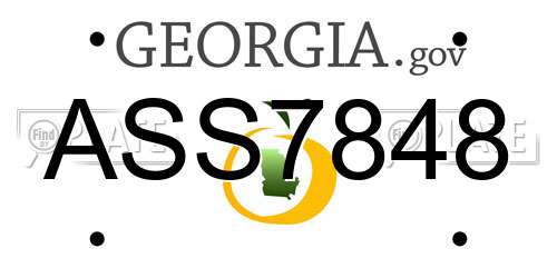 ASS7848 Georgia License Plate