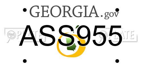 ASS955 Georgia License Plate