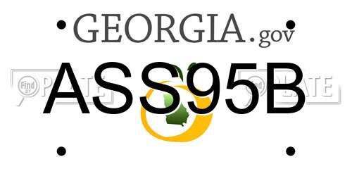 ASS95B Georgia License Plate