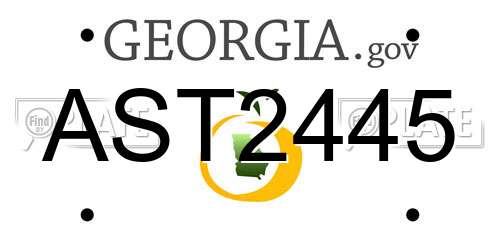 AST2445 Georgia License Plate