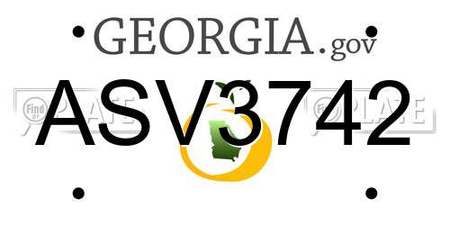 ASV3742 Georgia License Plate