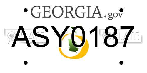 ASY0187 Georgia License Plate