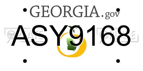 ASY9168 Georgia License Plate