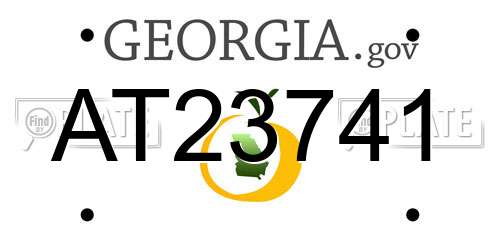 AT23741 Georgia License Plate