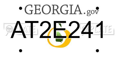 AT2E241 Georgia License Plate