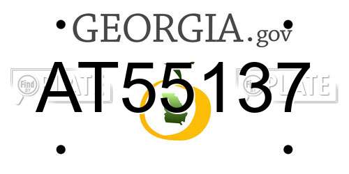 AT55137 Georgia License Plate