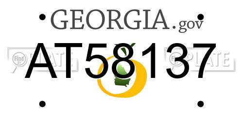 AT58137 Georgia License Plate