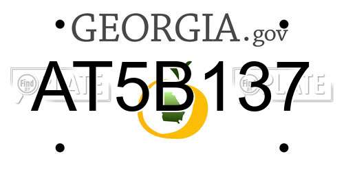 AT5B137 Georgia License Plate