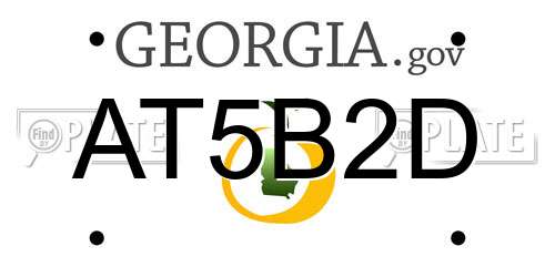 AT5B2D Georgia License Plate