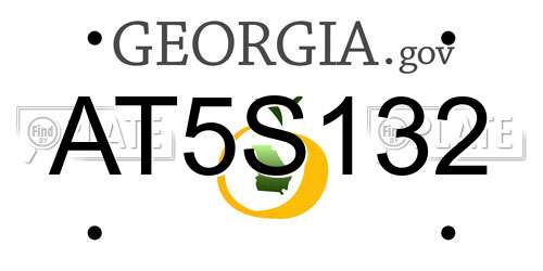 AT5S132 Georgia License Plate