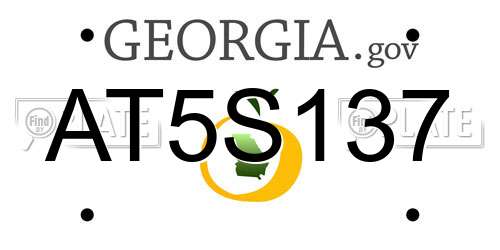 AT5S137 Georgia License Plate