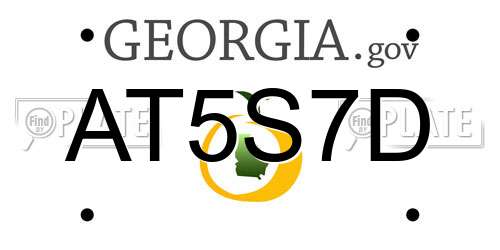 AT5S7D Georgia License Plate