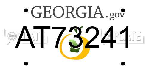 AT73241 Georgia License Plate