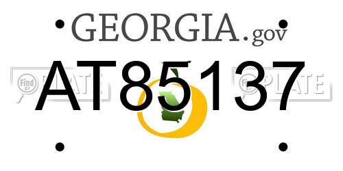 AT85137 Georgia License Plate