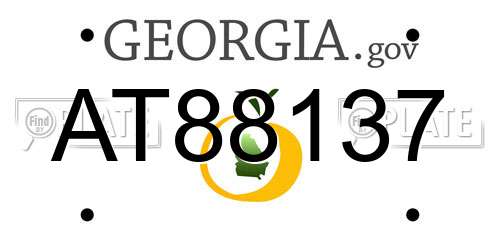AT88137 Georgia License Plate