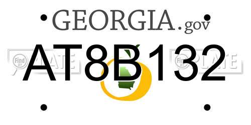 AT8B132 Georgia License Plate