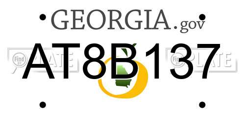 AT8B137 Georgia License Plate