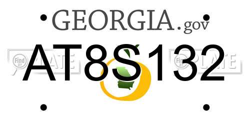 AT8S132 Georgia License Plate