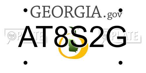 AT8S2G Georgia License Plate