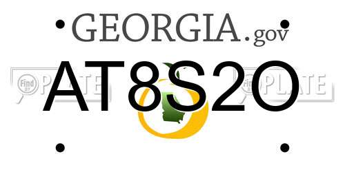 AT8S2O Georgia License Plate