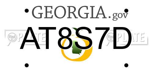 AT8S7D Georgia License Plate