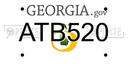 ATB520 Georgia License Plate