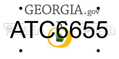 ATC6655 Georgia License Plate