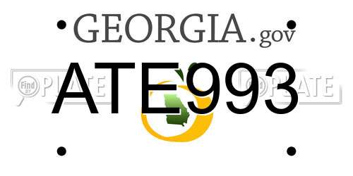 ATE993 Georgia License Plate