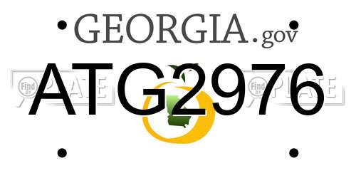 ATG2976 Georgia License Plate
