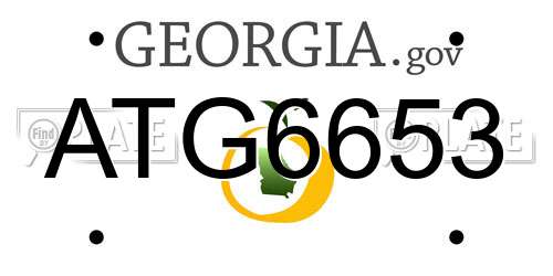 ATG6653 Georgia License Plate