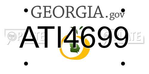 ATI4699 Georgia License Plate