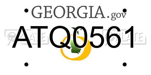 ATQ0561 Georgia License Plate