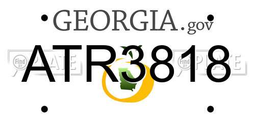 ATR3818 Georgia License Plate