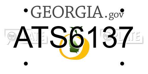 ATS6137 Georgia License Plate