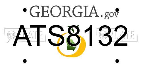 ATS8132 Georgia License Plate