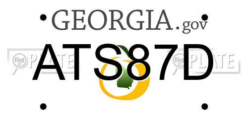 ATS87D Georgia License Plate