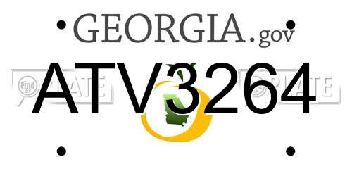 ATV3264 Georgia License Plate