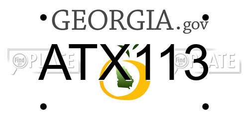 ATX113 Georgia License Plate
