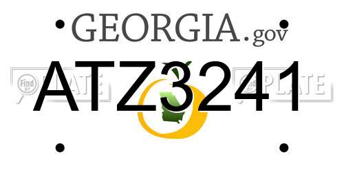 ATZ3241 Georgia License Plate