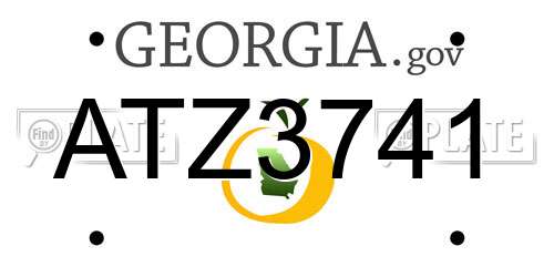 ATZ3741 Georgia License Plate