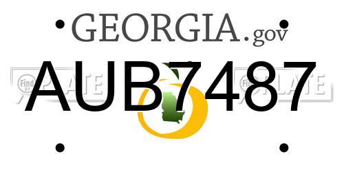 AUB7487 Georgia License Plate