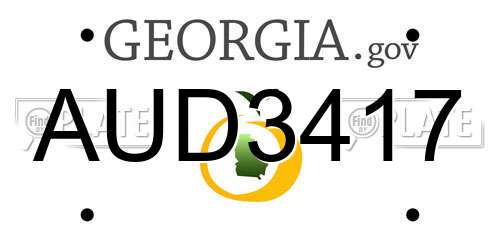 AUD3417 Georgia License Plate