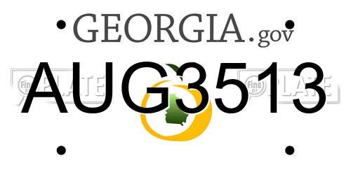 AUG3513 Georgia License Plate