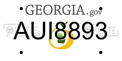 AUI8893 Georgia License Plate