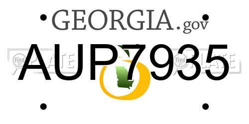 AUP7935 Georgia License Plate